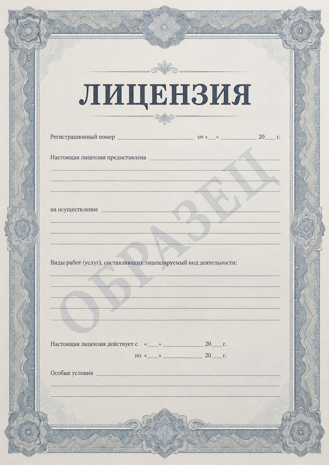 Лицензия — образец
